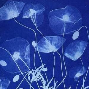 Meet your Posher, Betsy